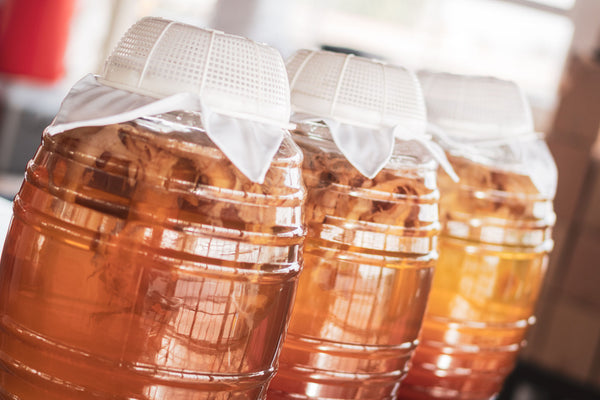 What is Kombucha? And how does it benefit health?
